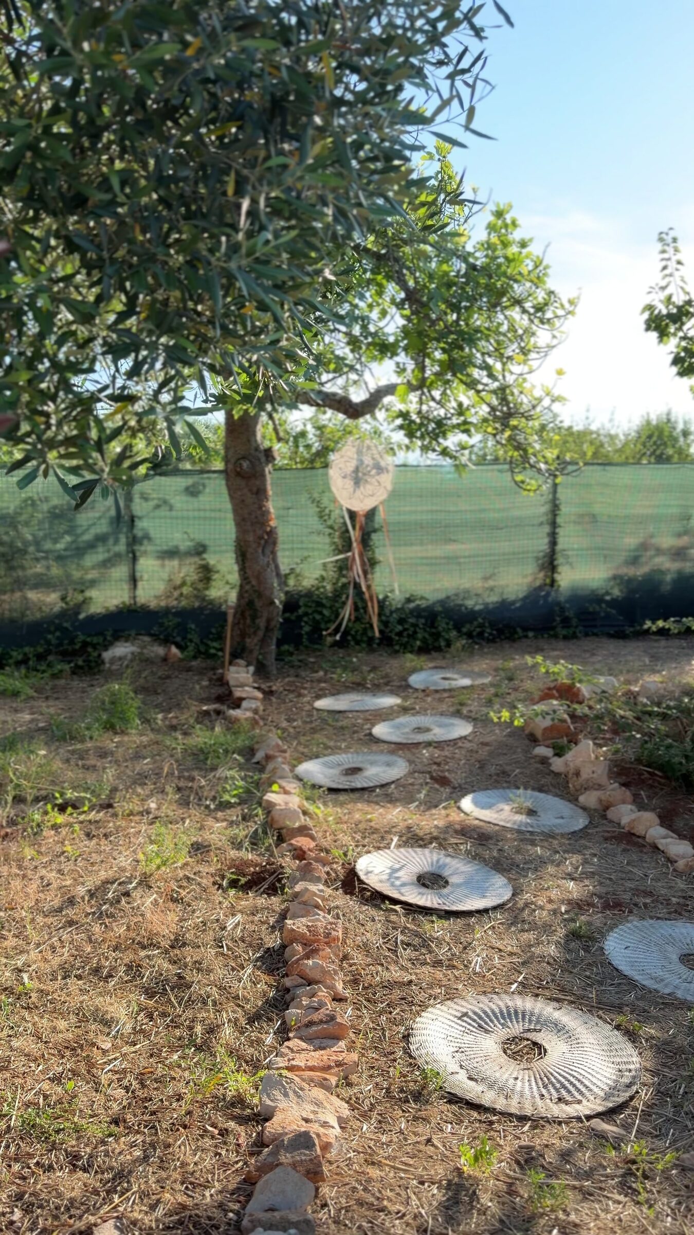 Sentiero tra gli ulivi ai Giardini di Agape